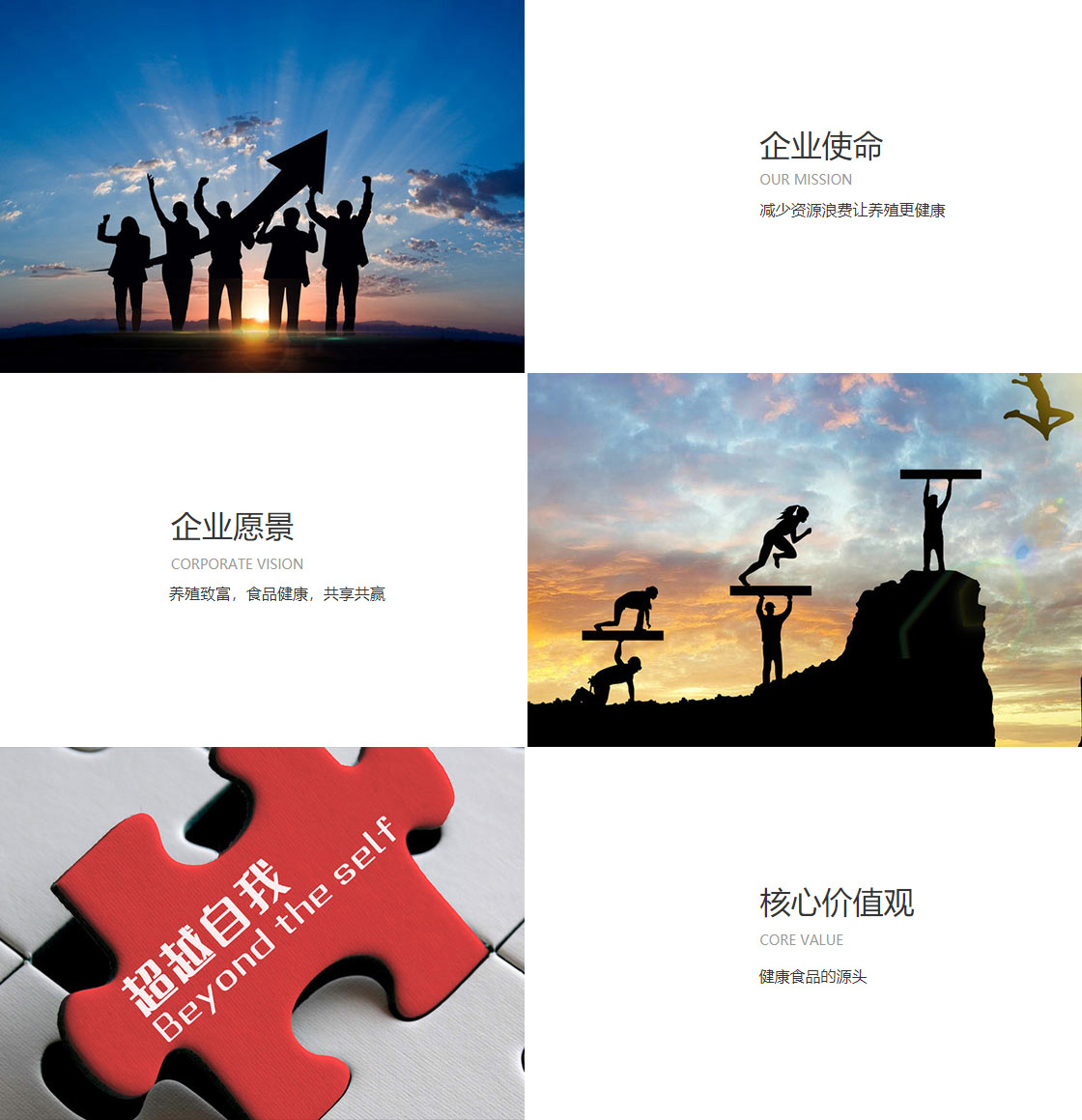 太阳集团8722网站(图1)